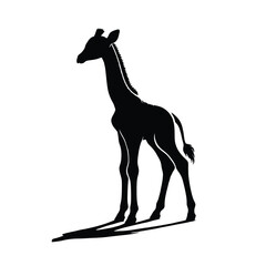Obraz premium Baby Giraffe Silhouette