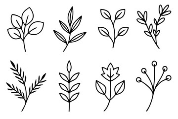 Floral branch and minimalist leaves for logo or tattoo. Hand drawn line wedding herb, elegant wildflowers. Minimal line art drawing for print, cover or wallpaper