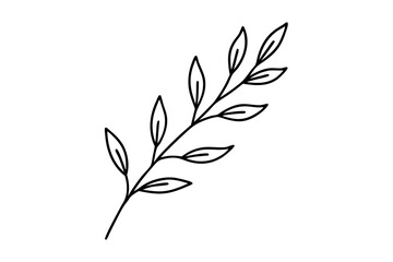 Floral branch and minimalist leaves for logo or tattoo. Hand drawn line wedding herb, elegant wildflowers. Minimal line art drawing for print, cover or wallpaper