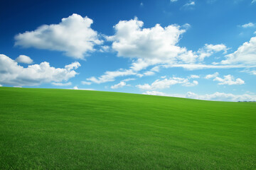Green field and beautiful sky. generative AI