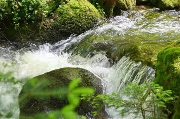 Wiedenbach im Buehletal