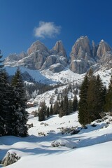 Fototapeta premium A mountain range covered in snow with a few trees in the foreground. The sky is clear and blue
