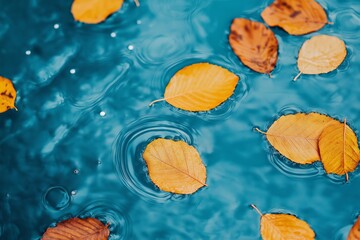 A body of water with leaves floating on top of it. The leaves are of different sizes and colors, creating a beautiful and serene scene. The water appears calm and still
