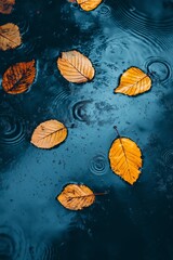 A photo of leaves floating in water with a blue background