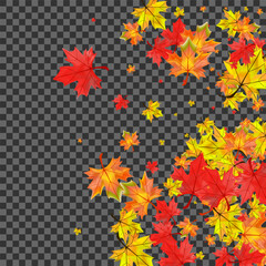 Obraz premium Orange Leaves Background Transparent Vector. Leaf Collection Card. Brown Abstract Foliage. Pattern Floral Illustration.