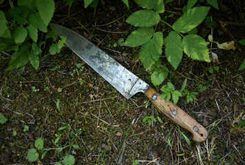 A large table knife is lying on the ground.The weapon of the crime is lying in the grass on the...