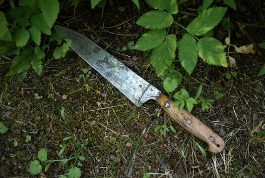 A large table knife is lying on the ground.The weapon of the crime is lying in the grass on the street.Discovery of evidence.