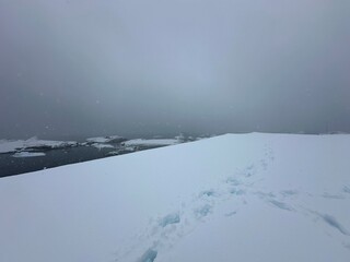 Bottom of the World - Antarctica