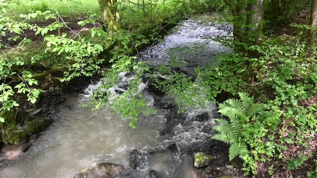 Gelbach bei Montabaur