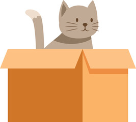 Adorable grey tabby cat sitting inside a cardboard box, isolated on white background © nsit0108