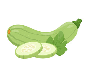 Fresh whole green Zucchini vegetable, slices and leaf. Farm zucchini plant icon. Organic garden vegetarian food. Vector illustration isolated on white background.