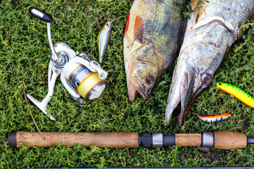 Fishing concept. Spinning rod, reel, pike and perch fish and lures on green grass