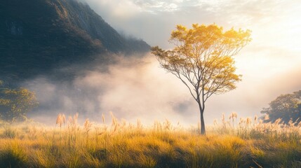 Fototapeta premium A stunning mountain covered in mist with a lone tree standing tall, vibrant grasses swaying under the warm sunlight, set against a realistic natural backdrop