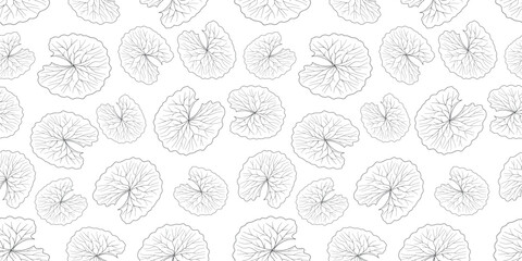 Fresh cica green leaf seamless pattern. Centella asiatica vector illustration. Gotu kola repeated texture. Asian pennywort background for organic cosmetics, natural product, healthy food, drink design