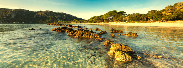 Panoramic summer exotic sandy beach with blur palms and sea on background 