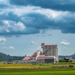 Obraz premium 彼岸も過ぎて