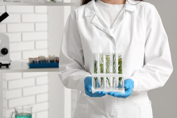 Female scientist with test tubes of plants and herbs samples in laboratory, closeup