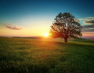 Fototapeta premium Resilient Shadows: A Red Sunset Over a Green Field and Enduring Tree