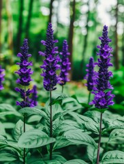Obraz premium In front of a glasshouse window are purple tropical flowers