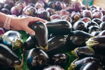 woman picks out eggplant at a farm store.