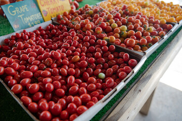 Tomatoes on the counter at the farm store.