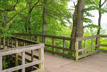 Stair to the coast of Mons Klint in Denmark