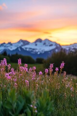 Obraz premium Tatshenshini-Alsek Wilderness Park, Alaska, USA, a field of flowers with a mountain range in the background