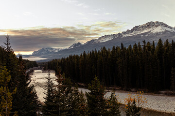 view of a valley with a dark forest in the morning with clouds in the sky and a river in the foreground in the mountains