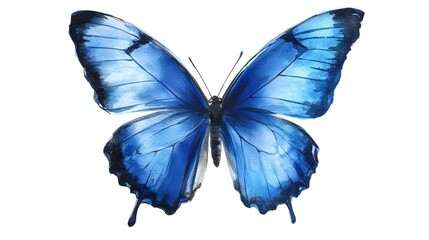 Watercolor Blue Butterfly
