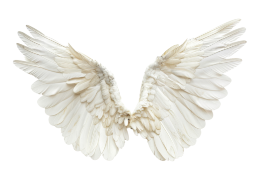 Transparent White Angel Wings: A Symbol of Hope and Protection - Powered by Adobe