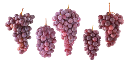 Collection of red grapes clusters of different shapes cut out