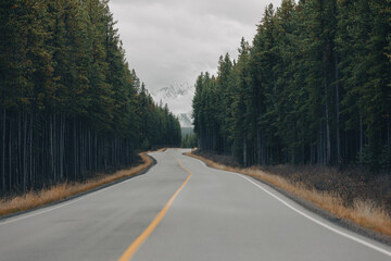Naklejka premium low angle view of a curvy road in the wilderness area with a pine tree forest and a tall mountain in the distance with snow on a cloudy day