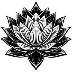 lotus flower vector