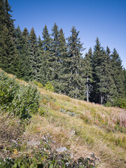 Autumn panorama of Vitosha Mountain, Bulgaria