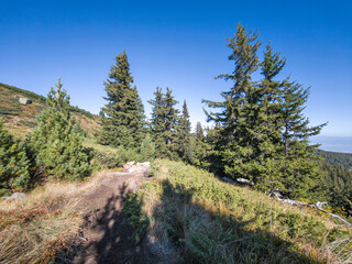 Obraz premium Autumn panorama of Vitosha Mountain, Bulgaria