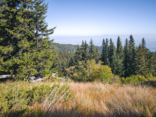 Autumn panorama of Vitosha Mountain, Bulgaria