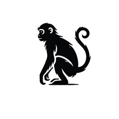 Obraz premium Monkey Silhouette