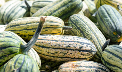 melons on the market