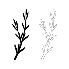 rosemary branch icon set isolated on white background