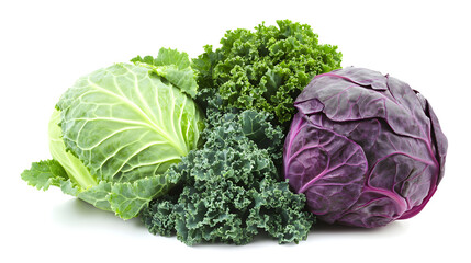 Fototapeta premium Fresh green and purple cabbage heads, alongside curly kale leaves