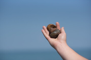 hand holding a stone against the sky