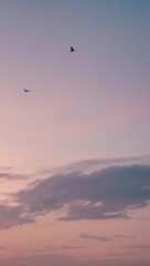 Bird flying at sunset with pink and blue sky hues