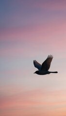 Seagull flying at sunset with pink and blue sky gradient