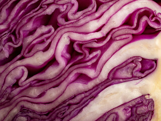 Obraz premium Close-Up Views of Fresh Purple Cabbage Texture