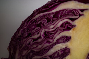 Obraz premium Close-Up Views of Fresh Purple Cabbage Texture