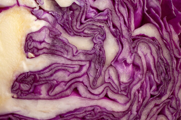 Obraz premium Close-Up Views of Fresh Purple Cabbage Texture