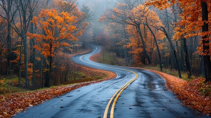Obraz premium Scenic landscape of a winding road through vibrant autumn-colored forests 