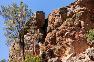 Rocky Terrain, Red Rocks, Desert, Trees