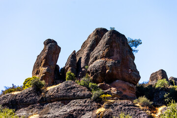 California Plants, Landscape, Rocks Trees, Red Rocks