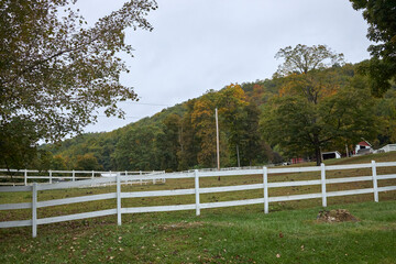 Horse pasture in early autumn with a white fence and trees in the background.